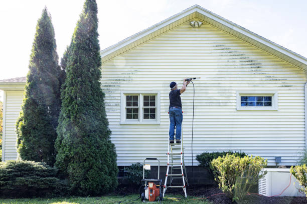 Best Roof Power Washing Services  in Carbon Cliff, IL