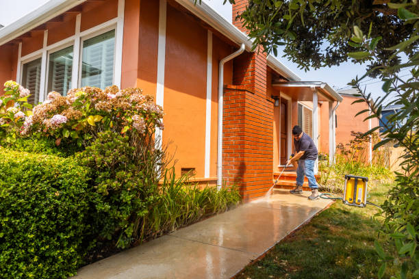 Best Sidewalk Pressure Washing  in Carbon Cliff, IL