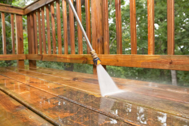Best Deck Cleaning Services  in Carbon Cliff, IL