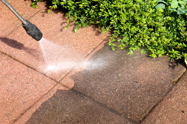 Best Residential Pressure Washing Services  in Carbon Cliff, IL